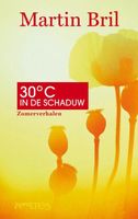 Dertig graden in de schaduw - Martin Bril - ebook