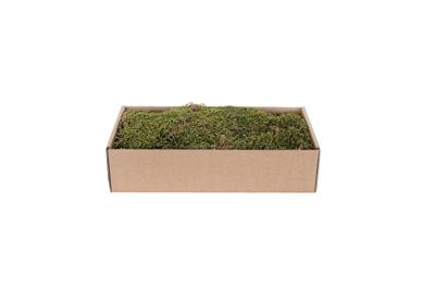 Platmos Groen-Bruin 500G kerst - My village
