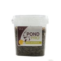 Pond Pro Meelwormen 2,5L - Eiwitrijk Voer voor Koi, Schildpadden en Kippen, Bevordert Groei en Vitaliteit