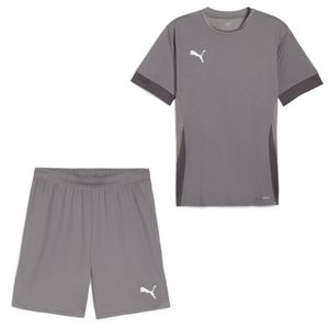 PUMA teamGOAL Matchday Voetbaltenue Kids Grijs Wit