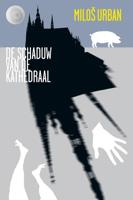 De schaduw van de kathedraal (Paperback)