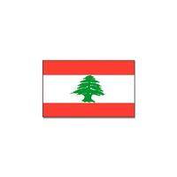 Vlag Libanon 90 x 150 cm feestartikelen