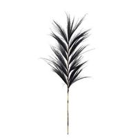 Droogbloemen Pluim gras - zwart - 118 cm - Leen Bakker - thumbnail