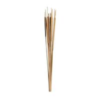 Droogbloemen Typha 15 stuks - naturel - 70 cm - Leen Bakker