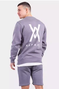 Aspact Back Logo Sweater Heren Grijs - Maat XL - Kleur: Grijs | Soccerfanshop