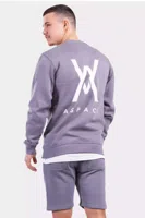 Aspact Back Logo Sweater Heren Grijs - Maat XL - Kleur: Grijs | Soccerfanshop - thumbnail