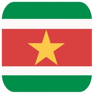 30x Bierviltjes Surinaamse vlag vierkant