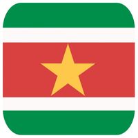 30x Bierviltjes Surinaamse vlag vierkant - thumbnail