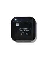 HEMA Undercover Concealer Palette (multi)