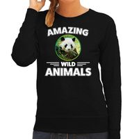 Sweater pandaberen amazing wild animals / dieren trui zwart voor dames - thumbnail