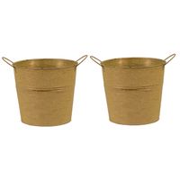 Emmer/plantenpot/bloempot - 2x - zink - oud goud - D18 x H16 cm