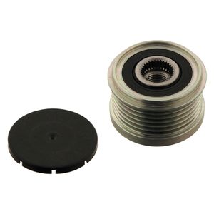 Riemschijf 30179