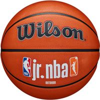 Wilson Jr. NBA Family Logo Authentic Outdoor