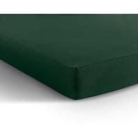 Dreamhouse Dubbel Jersey 220 gr. Hoeslaken Botanisch Groen 190/200 x 220/230
