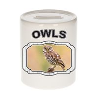 Dieren steenuil spaarpot - owls/ uilen spaarpotten kinderen 9 cm