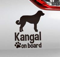 Kangal aan boord van auto sticker - thumbnail
