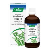 A Vogel Avena sativa (nacht)rust A Vogel Avena sativa (nacht)rust