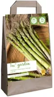 JUB Garden Bag Asperges Gijnlim (5 stuks)