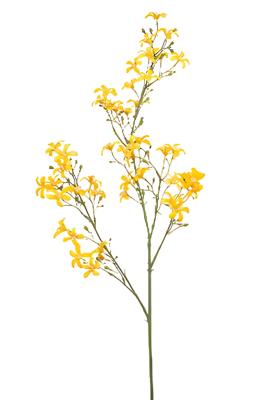 Saxifraga spray yellow 93 cm Emerald - Emerald