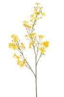 Saxifraga spray yellow 93 cm Emerald - Emerald