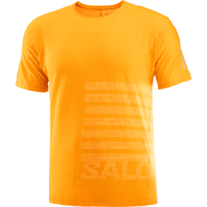 Salomon Sense aero ss tee gfx heren - OKER - Heren