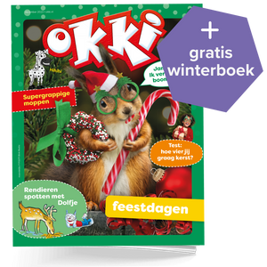 Okki | Jaar Basis