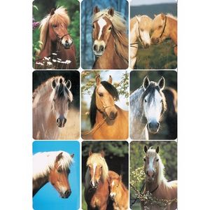 Dieren stickers paardenhoofd rassen 3 stuks