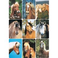 Dieren stickers paardenhoofd rassen 3 stuks - thumbnail