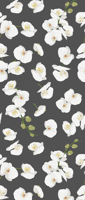 Behang bloemen Witte orchideeën