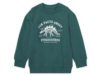 lupilu Peuters sweater met katoen (98/104, Groen) - thumbnail