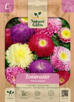 Zomeraster prinses mengsel 70st