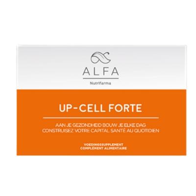 Alfa Up-cell Forte 90Tabletten Alfa Up-cell Forte 90Tabletten