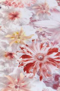 Moooi Carpets - Laagpolig Vloerkleed Flowergarden Rectangle Day Low Pile - 300x400 cm