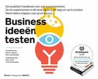 Businessideeën testen (Paperback)