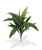 Draceana kunstplant 60cm - bont