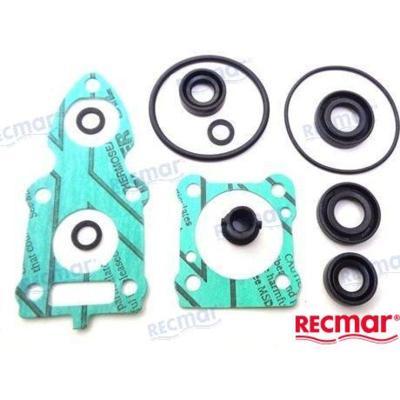 REC6G1-W0001-C1 - ONDERSTE PAKKINGSET Yamaha