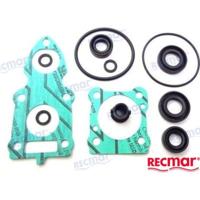 REC6G1-W0001-C1 - ONDERSTE PAKKINGSET Yamaha