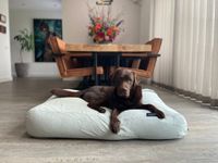 Dog's Companion® Hondenbed cool mintgroen ribcord