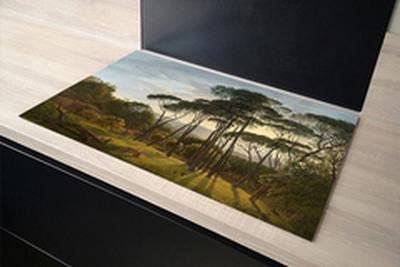 Inductie beschermer met foto 52.20x80.20 cm