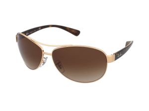 Zonnebrillen Ray-Ban RB3386 001/13