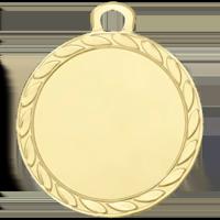 Sportprijzen Leiden Medaille DI3206