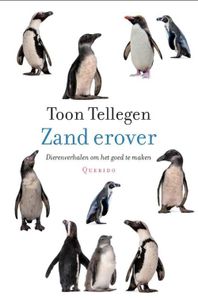 Zand erover - Toon Tellegen - ebook