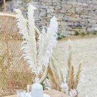 Ginger Ray PAM-543 Pampas Grass Wit