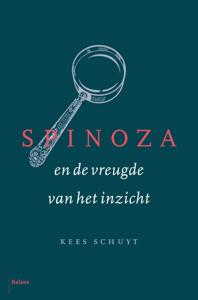Spinoza en de vreugde van het inzicht (Hardback)