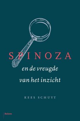 Spinoza en de vreugde van het inzicht (Hardback)