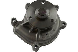 Waterpomp TW5103