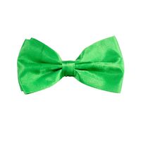 Carnaval verkleed vlinderstrikje zijdeglans - groen - polyester - heren/dames   -
