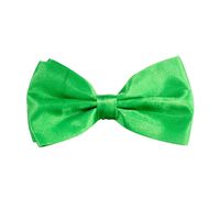 Carnaval verkleed vlinderstrikje zijdeglans - groen - polyester - heren/dames - thumbnail