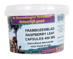 Dierendrogist frambozenblad capsules (400 MG 100 ST)