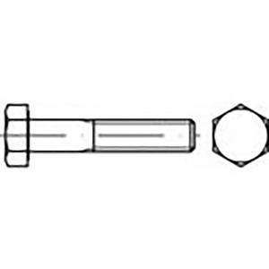 TOOLCRAFT TO-6861612 Zeskantbout M20 170 mm Buitenzeskant DIN 960 Staal 10 stuk(s)